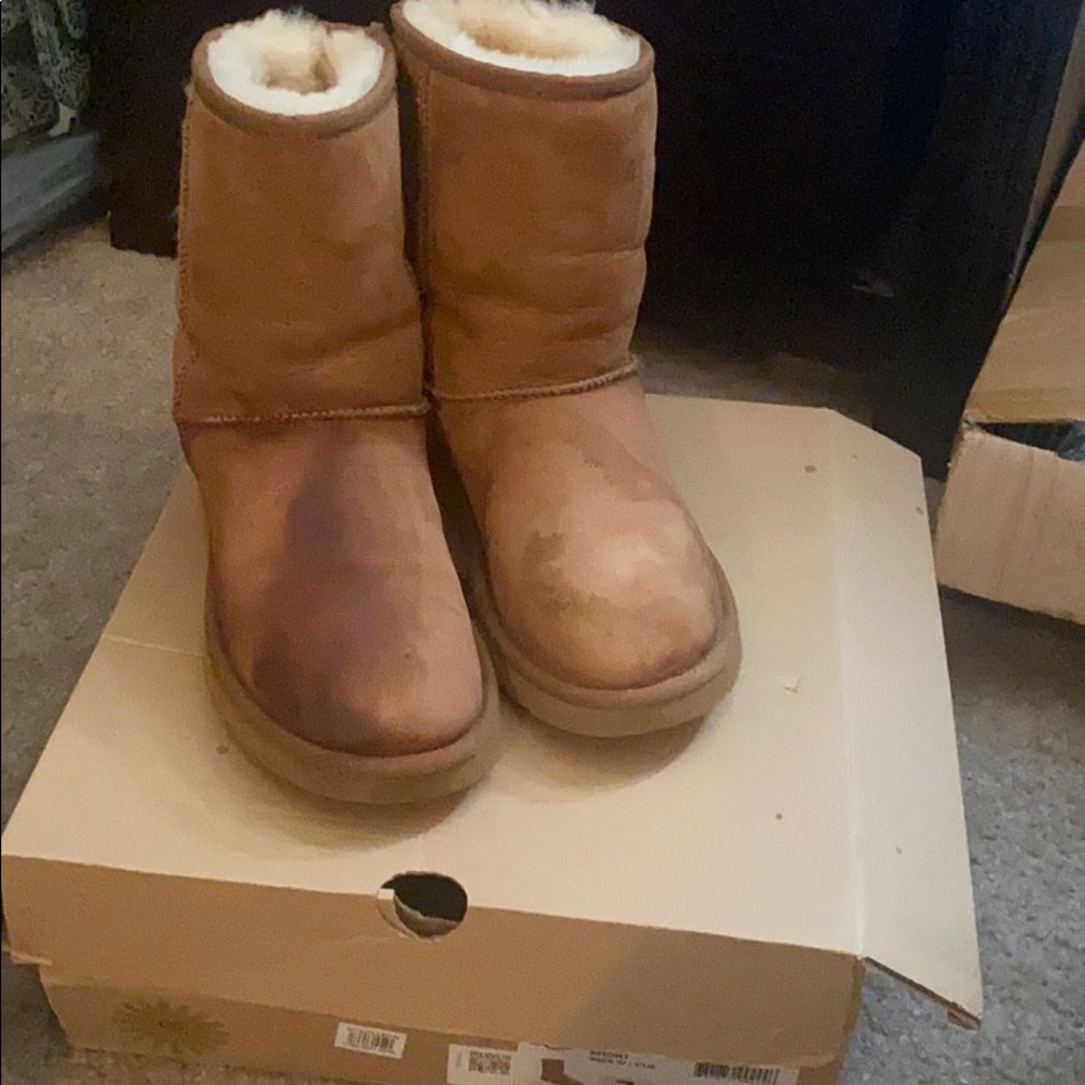 Short chestnut Uggs